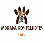 Canil de Bulldog Frances, Bulldog Inglês e Pug - Morada dos Filhotes